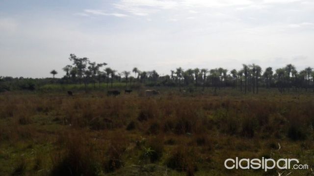 VENDO 11 HAS, CARAPEGUA-salida Nva.Italia-Ruta1 — foto 3