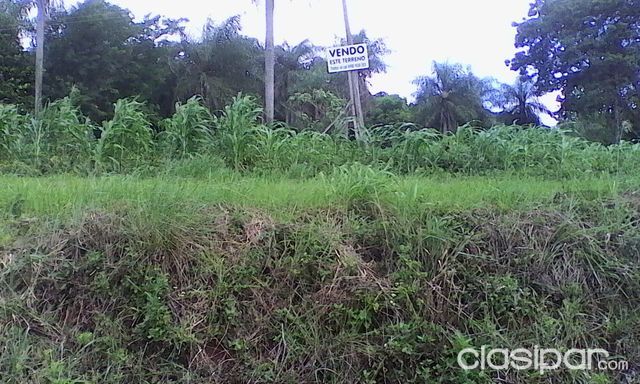 VENDO PROPIEDAD SOBRE RUTA 6ta. a 50 Mts. de entrada a las Ruinas TRINIDAD — foto 3