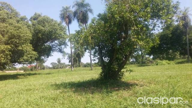 Vendo terreno de 5 hectareas aprox zona shopping San Lorenzo — foto 2