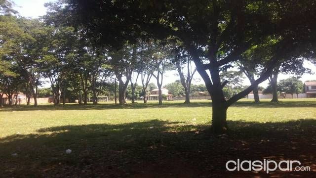 Vendo terreno de 5 hectareas aprox zona shopping San Lorenzo — foto 3
