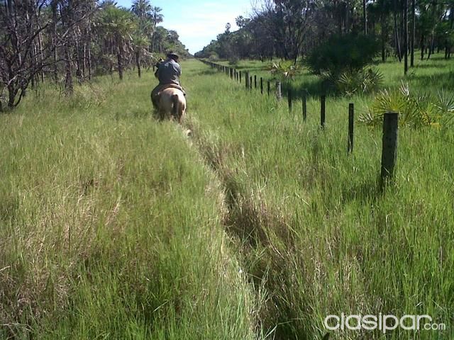 ZONA MONTELINDO - ESTANCIA 11.000 Has. — foto 3