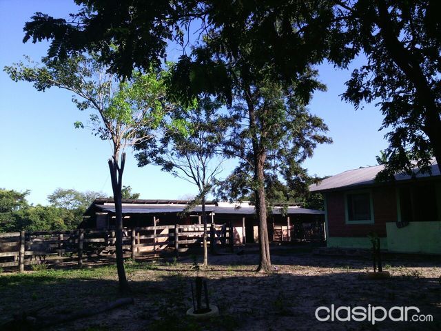 VENDO GRANJA CON TERRENO DE 18 Ha EN CONCEPCIÓN!!! — foto 2