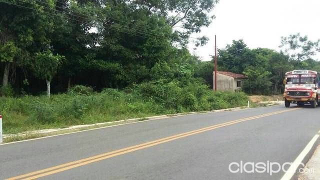 Venta de terrenos sobre la nueva Ruta asfaltada Limpio-Luque-Aregua (ITAPUAMI) — foto 3