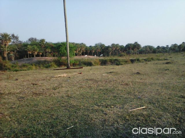Campo en Bajo Chaco - 200 has. — foto 2