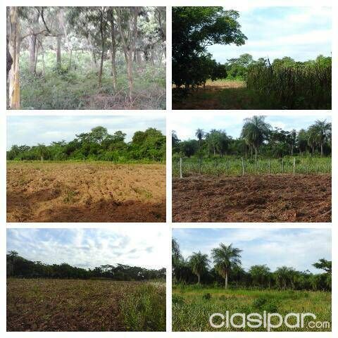 Venta de ectarias — foto 2