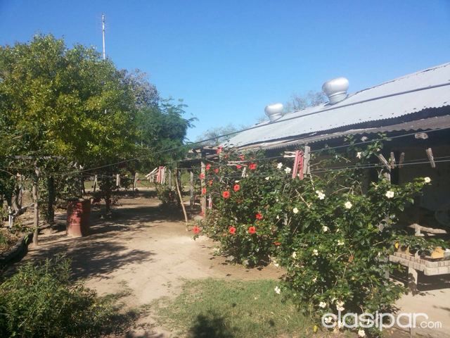 VENDO PROPIEDAD DE 1200 HECTAREAS UBICADA EN PRESIDENTE HAYES. — foto 2
