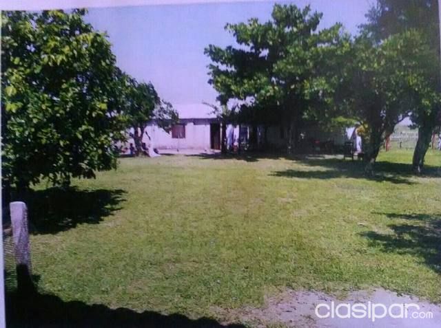 Vendo Estancia a 50 km de San Ignacio Misiones. — foto 2