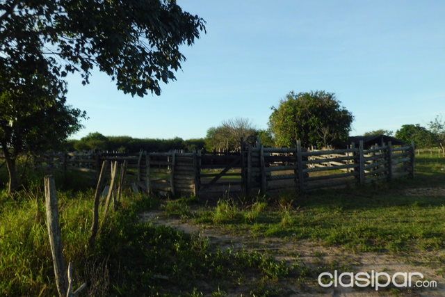 ESTANCIA EN BAJO CHACO — foto 2