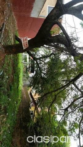 Vendo terreno zona lambare — foto 3