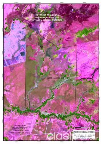 ARROYOS Y ESTEROS (CORDILLERA): VENDO HERMOSO CAMPO C EXCELENTE PASTURA - 2.718 HAS — foto 3