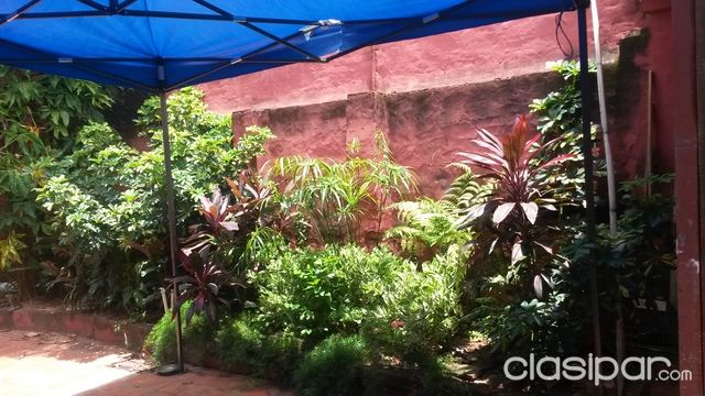Departamento con quincho y pileta. Zona Municipalidad de Asunción — foto 2