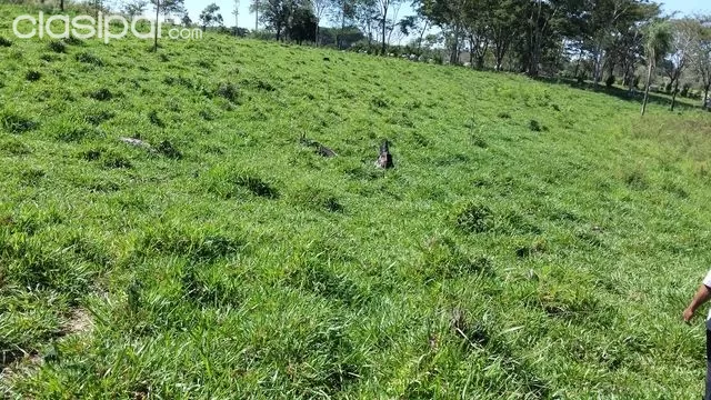 25.000.000 OFERTA ESTANCIA EN SANTANI Z PUNTA SUERTE — foto 2