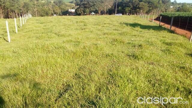 Vendo um terreno em São Miguel do iguaçu — foto 2
