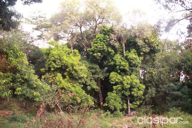 Oferta!Gran Terreno en Lambaré! — foto 2
