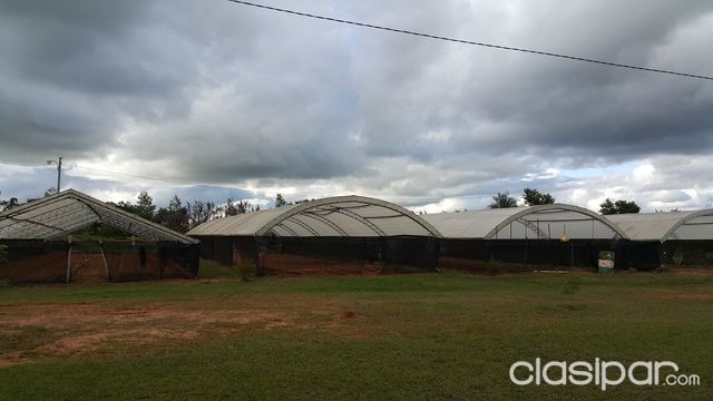 SE VENDE UN PARAISO — foto 2