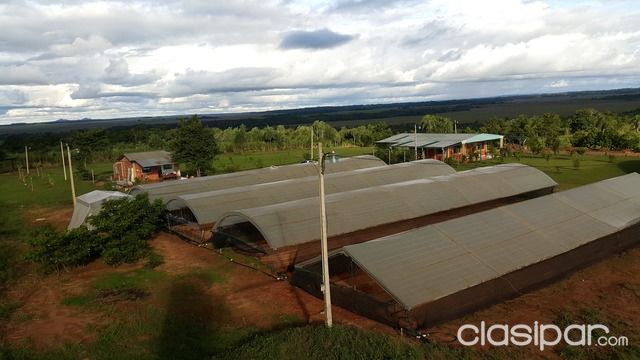 SE VENDE UN PARAISO — foto 3