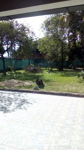 Alquilo Casa Zona Luque!! IMPERDIBLE — foto 2