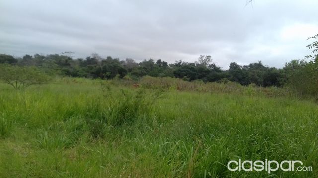Vendo Establecimiento Ganadero — foto 3