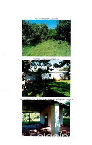 TERRENO EN ALTOS — foto 2