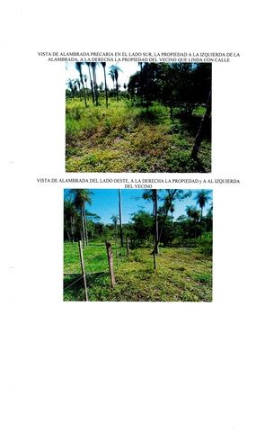 TERRENO EN ALTOS — foto 3