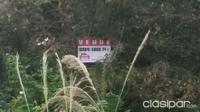 PROPIEDAD EN CAPIATÁ - SAN PEDRO C 8 DE DICIEMBRE — foto 3