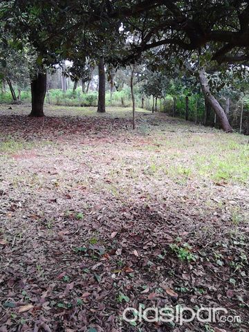 Vendo Terreno con superficie de 2.163 mts2.Barrio Centro de San Antonio. — foto 3
