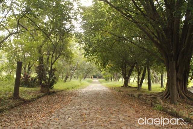 Vendo casa quinta en Luque — foto 2