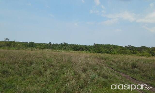 Vendo Propiedad Privada especial para Granja Agrícola Orticola y Ganadera — foto 3