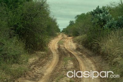 CAMPO EN MAYOR PABLO LAGERENZA (DPTO. DE ALTO PARAGUAY) — foto 2