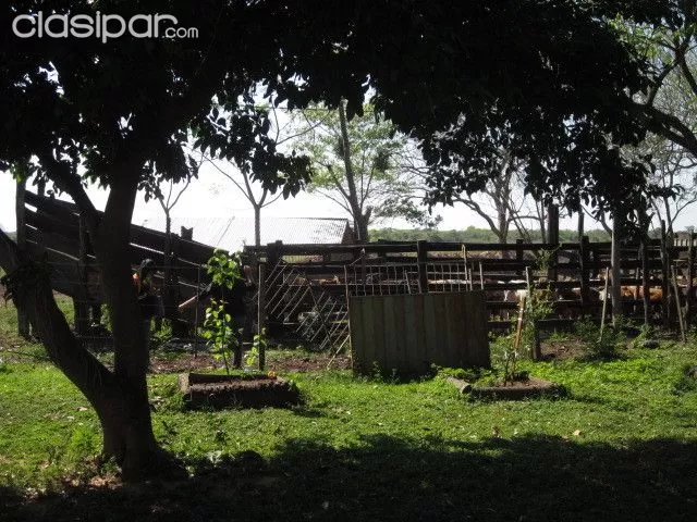 Vendo Estancia de 458 Hectáreas, en Yaguaron — foto 3