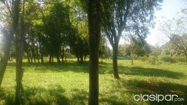 Vendo Un Lote De 10 Hectáreas — foto 2