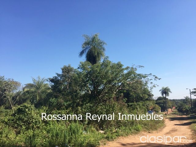 VENDO TERRENO DE 2.555 M2 EN LIMPIO!!! — foto 2