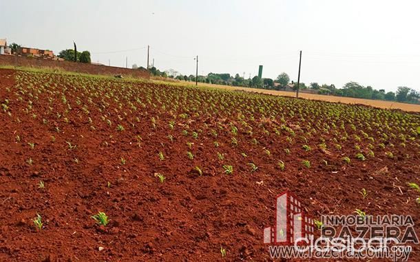 VENDO OFERTA DE TERRENO LOTE DE 525 METROS FINANCIADO SANTA RITA.LOTE DE 525 METROS — foto 3