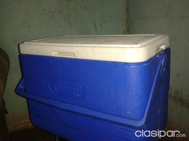 Heladera prosdocimo 450.000 coleman 180.000 usados. — foto 2