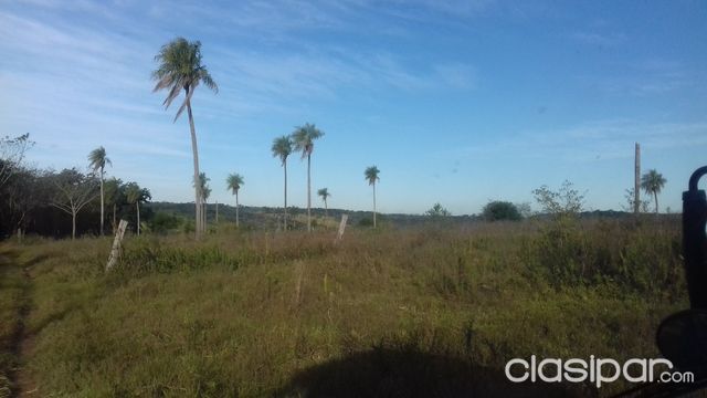 SUPER OFERTA VENDO 8 HECTAREAS EN BARRERO GRANDE — foto 3