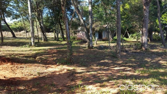 Vendo Terreno en Luque — foto 2