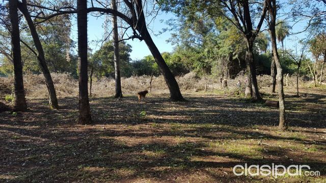 Vendo Terreno en Luque — foto 3
