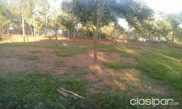 Vendo terreno en luque — foto 2