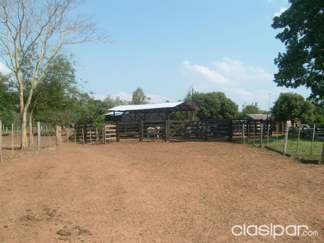 Vendo propiedad la ciudad de Curuguaty — foto 2