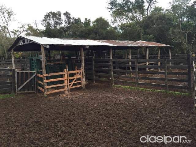 Vendo Establecimiento Ganadero Formado — foto 3