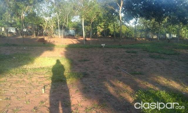 Zona Luque — foto 3