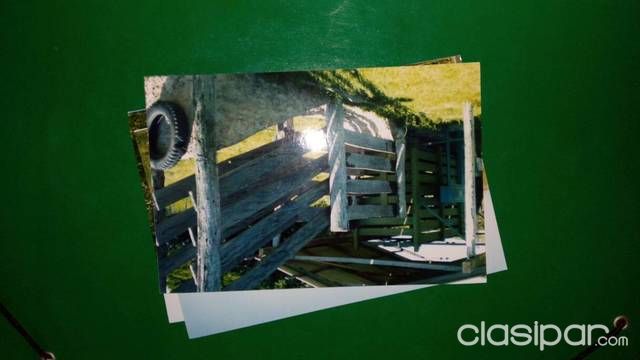 Vendo estancia de 715 hectareas — foto 2