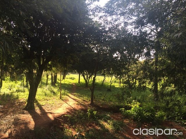 Hermoso Terreno en la ciudad de Ñemby — foto 2