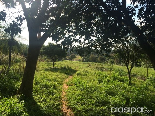 Hermoso Terreno en la ciudad de Ñemby — foto 3