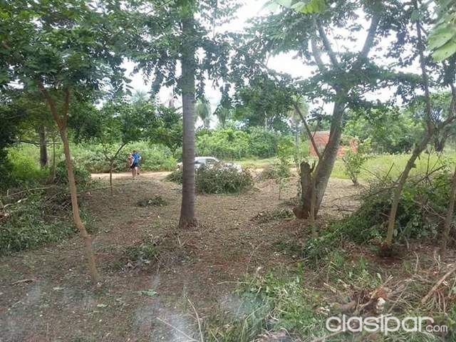 VENDO TERRENO EN ISLA BOGADO LUQUE ZONA ESCUELA CAÑADA SAN RAFAEL — foto 2