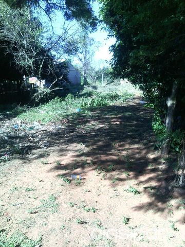 CON TITULO EN MANO — foto 2