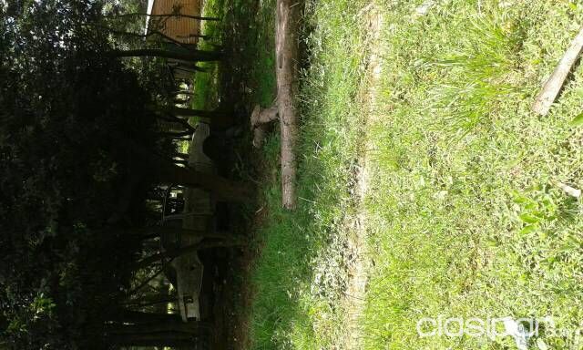 Terreno zona nva colombia — foto 3