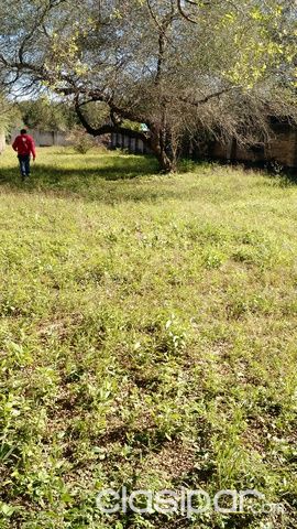 Vendo Terreno Ideal Para Quinta, totalmente Amurallado con porton! — foto 3