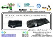 TECLADO MICRO B2M-00016 ERGO 4000