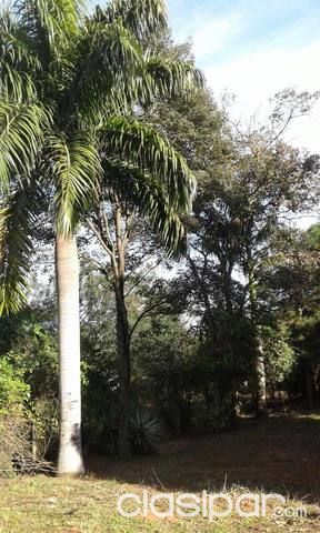 Quinta en Ñemby — foto 2